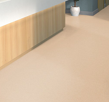 Tarkett iq Melodia 2644 фото 2 | FLOORDEALER